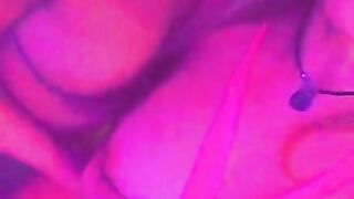 Fun for a day (Video 214)