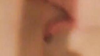 Fun for a day (Video 195)