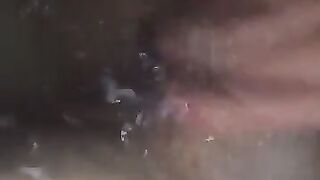 Fun for a day (Video 184)