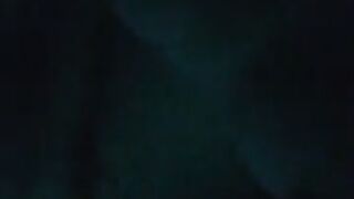 Fun for a day (Video 185)