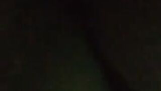 Fun for a day (Video 181)