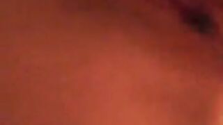 Fun for a day (Video 125)