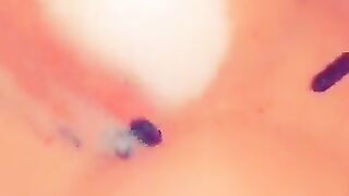 Fun for a day (Video 104)