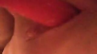 Fun for a day (Video 54)