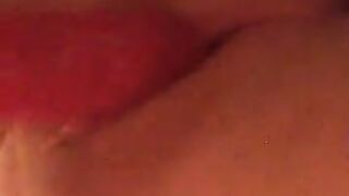 Fun for a day (Video 54)