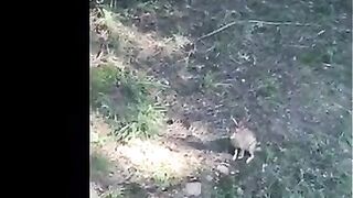 F228B002-242A-40AF-8A83-E3613440574E