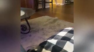 Aubree Valentine New POV BJ