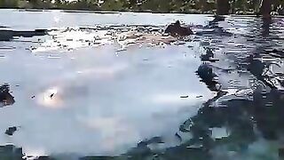 Ana's Snapchat (Video 240)