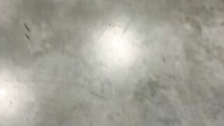 Bhad Bhabie twitch bhabieworld_2025-07-21