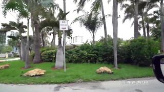 Gianna dior creampie