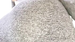 Annaxvip Onlyfans (Video 16)