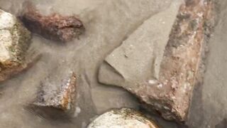 Kimorasvenus Leaked Onlyfans (Video 13)