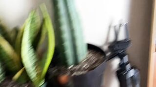 igot2doggs Onlyfans (Video 44)