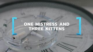 Eva Elfie, Lika Star, Sasha Sparrow, Sybil - One Mistress and Three Kittens