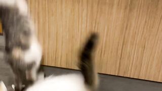 Yungestnugget Onlyfans (Video 10)