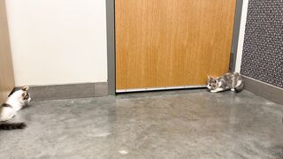 Yungestnugget Onlyfans (Video 11)