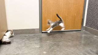 Yungestnugget Onlyfans (Video 11)