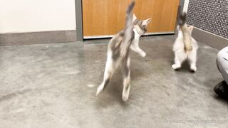 Yungestnugget Onlyfans (Video 11)