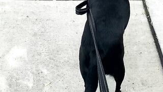 Yungestnugget Onlyfans (Video 81)