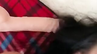 puravidacost (Video 18)