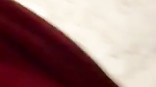 puravidacost (Video 16)