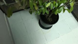 Cutie_Kim Lets Her Neighbor Pound Her