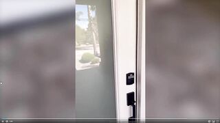 Lexis Wilson Fucks A Delivery Guy
