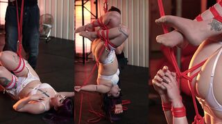 A.A OF - Suspension