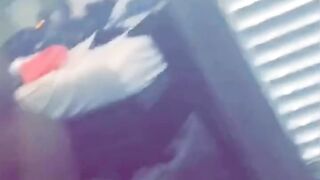 Wewantdiamond (Video 44)