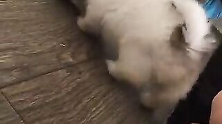 Erin Ashford Onlyfans (Video 20)
