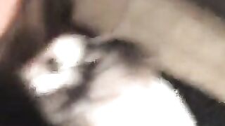Erin Ashford Onlyfans (Video 19)