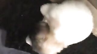 Erin Ashford Onlyfans (Video 19)