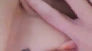 purplevyada (Video 11)