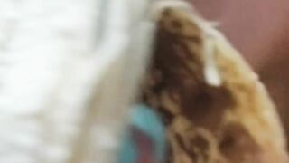 Bree Jackson (strawbreegod) (Video 11)