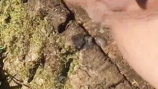 queenb94 OF (Video 80)