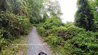 AMWednesday - Pink Dress Park