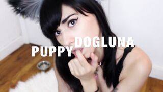 kitty kat luna -- puppy dog luna