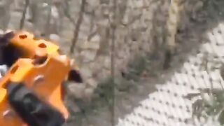 Jailyne Ojeda Video Pack (Video 10)