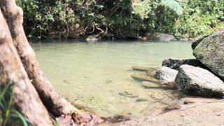 S.F & O.K OF - D&D Adventure