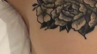 Entire Collection (Video 28)