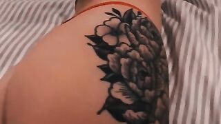 Entire Collection (Video 2)