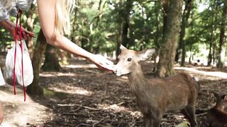 Caroline Zalog Kyoto,Japan VLOG